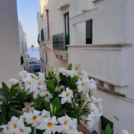 Fiore Bed & Breakfast Gallipoli