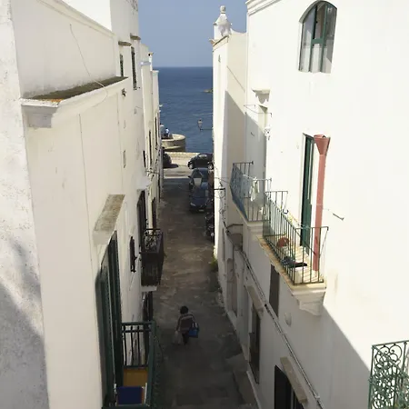 Fiore 3* ガリポリ