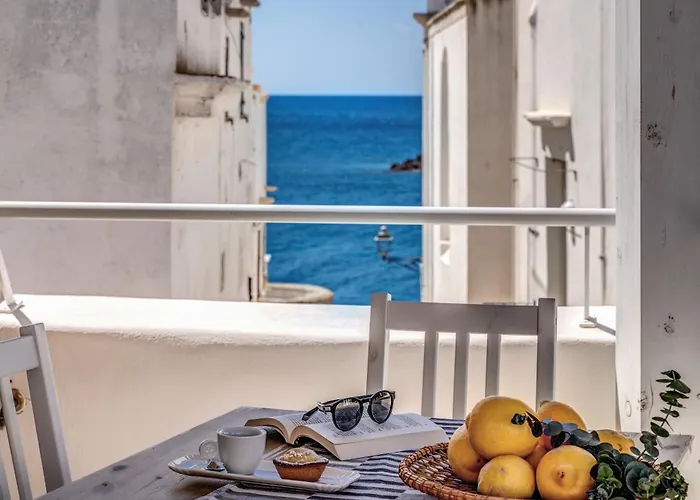 Fiore 3* ガリポリ