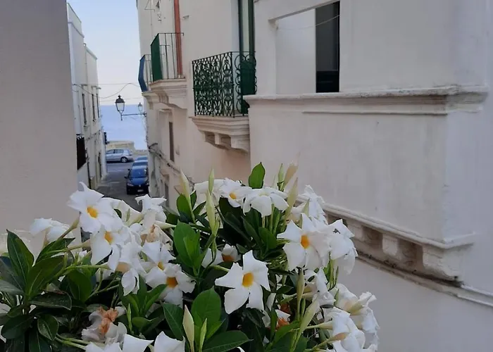 Fiore Bed & Breakfast Gallipoli