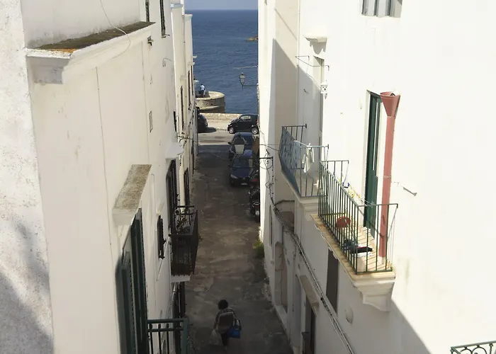 Fiore 3* ガリポリ